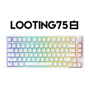 Latenpowlooting66/75键东北磁轴键盘透光键帽RT模式游戏机械键盘 looting75白色 磁轴