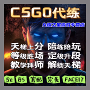 CSGO代练完美世界天梯上分定级赛5E代打CS2定位官匹胜场陪玩陪练 鸿天都 下单前联系客服：10元