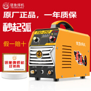 银象氩弧焊机TIG-250T/300T单用220V手工焊两用220V/380V双电压工业级 银象TIG-250T单用220V单机送地线