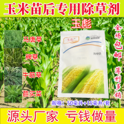 胜邦绿野玉米苗后专用除草剂玉彪玉米田专用玉米地除草剂牛筋草节节草农用 玉彪*1袋