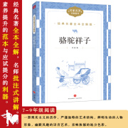 正版包邮 骆驼祥子 超越国界的伟大文学作品规划激发学生的阅读兴趣71313 骆驼祥子