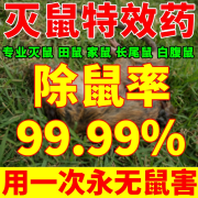 新贝奥老鼠药三步到一闻就死一窝端饵剂家用室内外死超强效力灭鼠特效 试用装【50g】