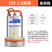 壹玖捌捌直流潜水泵12V24V 48V家用电瓶车抽水泵小型电动农用户外浇菜神器 12V-1寸+2.5米线 标配 /电瓶款/