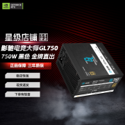 影驰升技G650 GL750  500W 750W 600W 650W 台式机电源 影驰电竞大师GL750黑色-750W