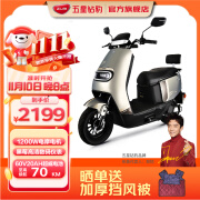 五星钻豹电动车60V20AH电动摩托车外卖电瓶车1200W大功率新款牛系电摩 N3 炫彩天宇灰/钢琴黑/合金白