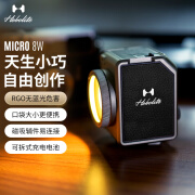 Hobolite或泊MICRO摄影灯8w便携口袋户外夜景人像拍摄拍照柔光打光常亮磁吸复古桌搭高颜值礼物手机补光灯 黑色 随心套