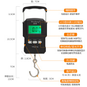 威衡手提称电子快递秤75公斤带卷尺多功能温度便携式吊钩买菜kg称 75kg带卷尺手提秤7号电池款 中