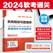 软考配套辅导系统规划与管理师真题精析与命题密卷/全国计算机技术与软件专业技术资格考试