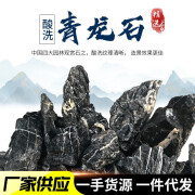 酸洗青龙石天然摆件原石石头微景观鱼缸造景用假山石批发青龙石 1斤酸洗青龙石大小随机 块数随