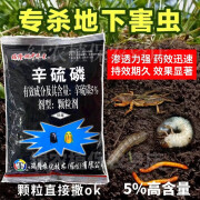 5%辛硫磷膦颗粒土壤杀虫剂地老虎蛴螬土蚕地下害虫专用农药杀虫剂 900g