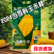 隆福沃原内蒙古乌兰布和沙漠玉米 健康粗粮饱满玉米棒 1850g*1袋装（7-9穗装）