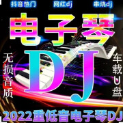 酥灏梆2024抖音流行电子琴DJ歌曲汽车载优盘伴奏无损高音质mp3车用优盘 (64G电子琴DJ)3000首+250MV视频 1MB+官方标配