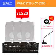 惠威VA4OS壁挂音响4寸大功率喇叭定阻高保真HIFI立体声挂壁音箱 VA4OS*3只+ZY2200功放