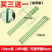 花田趣爬藤架子花支架月季花架植物盆室内花卉支撑杆园艺铁线莲攀爬 120cm高【4杆4圈】可调节圈45cm