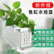 YEE鱼缸水培植物篮家用水草种植杯壁挂式挺水植物定植篮鱼缸造景装饰 升级款白色适用于4到20mm内鱼缸 1个