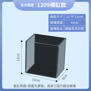 鱼泰斗专用黑波缸桌面小型玻璃迷你白玻璃斗鱼缸LED灯带盖子排缸 120912黑背裸缸款