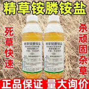 精草铵膦铵盐除草剂烂根除杂草牛筋草果园茶园树林荒地行间小飞蓬 【一千克*1瓶(送增效助剂)】