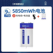 倍量9V充电电池大容量万用表方块无线体温枪仪器6F22九伏电吉他麦克风 1节装【type-c快充】9V锂电 款式