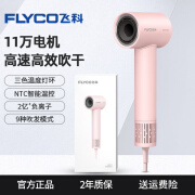 飞科（FLYCO）Flyco/飞科高速吹风机家用负离子护发电吹风筒小型学生用七夕礼物 公主粉