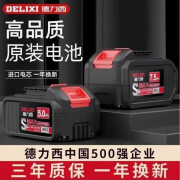 德力西（DELIXI）德国进口德力西电钻电锤电扳角磨机冲击钻风炮电锯专用大容量锂电 10节4.0Ah一块