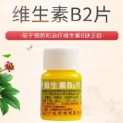 恒健 维生素B2片 5mg*100片 预防和治疗维生素B2缺乏症 口角炎 阴囊炎 结膜炎 脂溢性皮炎 1 盒 装