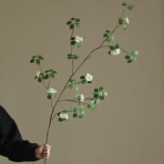 陌花格小清新观音莲仿真花藤蔓假花家居摆设客厅餐桌玄关装饰品摆件花艺 白色-长枝