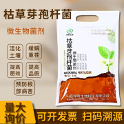 绿陇枯草芽孢菌杆菌农用微生物菌剂菌肥促进根系活土有益菌肥料 枯草芽孢杆菌1kg/袋