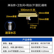 莱博勒长条地漏防臭卫生间锆金色浴室加长304不锈钢条形60长80cm 300x68中1.5厚(现货)