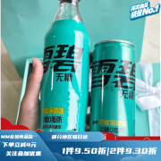 雪碧（Sprite）柠檬薄荷雪碧汽水碳酸饮料降温解渴瓶装冰薄荷味 500ml*5瓶.