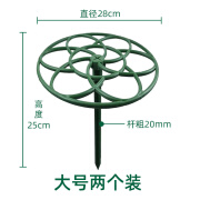 CPAI太阳花棒棒糖造型支架蟹爪兰嫁接专用单层多层支撑爬藤花架可拼接 单层大号直径28cm*2个 无规格