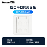 泛达（PANDUIT） 网络信息面板平口斜口网络插座单口双口四口面板Mini-com接口 四孔平口面板-不含模块