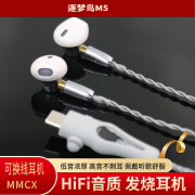 逐梦鸟M5发烧有线HiFi耳机半入耳式高音质type-c扁头数字DAC解码芯片 哑光银 模拟tyep-c-镀银款