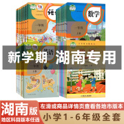 【湖南地区专用】正版2024适用人教版小学一二三四五六年级上下册语文数学英语全套课本教材教科书1-6年级上下册语数英人教湘少版 【二本】人教版语文数学 六年级下