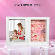 JoyFlower康乃馨永生花礼盒摆件生日礼物结婚纪念日送女生朋友妈妈实用走心 康乃馨永生花相框-母亲节