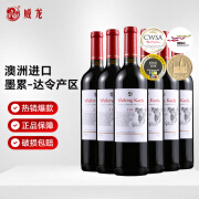 威龙  澳洲进口干红葡萄酒319考拉红酒14.5度750ml商务宴请送礼 319干红750ml整箱