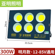 亚明照明亚明LED投光灯低压船用直流电瓶12V24V36V100W电瓶射灯户外防水 亚明照明低压明月款300w