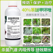 40%苯醚甲环唑挫锉西瓜炭疽病白粉叶斑病锈病黑褐斑病农药杀菌剂 100克*1瓶