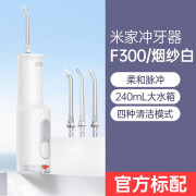 小米（MI）电动冲牙器米家便携式家用水牙线口腔洁牙洗牙器 【标配】小米F300冲牙器/烟纱白