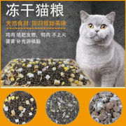 GARCIA冻干猫粮1斤装成猫幼猫2.5kg增肥发腮营养天然通用型全阶段 经典无冻干猫粮 500g