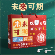 小学生开学礼包礼物学习用品文具未来可期红色大礼盒 小学生未来可期基础款-红色