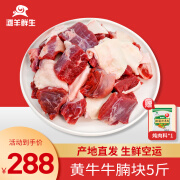 滩羊鲜生 宁夏黄牛肉 生鲜牛肉礼盒牛腩块5斤牛腩肉烧烤火锅食材源头直发