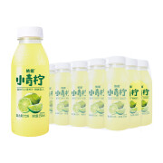 依能小青柠果汁饮料柚子汁含NFC小青柠汁350ml*15瓶青柠夏季饮料 小青柠汁350ml*15瓶