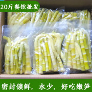 望田源2023野生加工新鲜小竹笋尖清水笋春笋农家小笋嫩笋尖火锅蔬菜 500gx20包【20斤批发价】