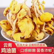 滇闽家人云南特产鸡油菌干蘑菇黄丝菌食用菌榆黄菇干货杏黄菇新款 随机发