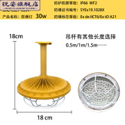 开臣（KAICHEN）LED防爆灯隔爆型化工厂房车间照明防腐防尘工矿灯具三防灯罩 防爆灯30w吊杆式