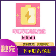 哔哩哔哩电池充值 bilibili直播电池直充B站礼物充值官方充值快速到账 100元