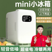 闲鸟车载冰箱迷你mini小型冷藏箱车家两用宿舍出租房化妆品母乳制冷箱