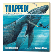 现货 英文原版 Trapped! A Whale's Rescue 解救座头鲸 4-6岁儿童海洋动物保护主题绘本 Robert Burleigh 英文版 进口英语原版书籍9781580895590