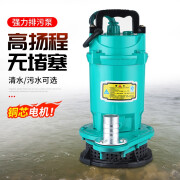 致绪潜水泵家用高扬程清污水泵小型抽水泵排污泵沼气化粪池农用灌溉泵 铜芯370瓦1寸清水泵无赠品