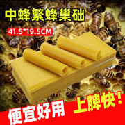 蜂之家中蜂巢础蜂蜡深房巢础片土蜂野蜂蜜蜂巢基 试用装【10片】 41.5*19.5cm